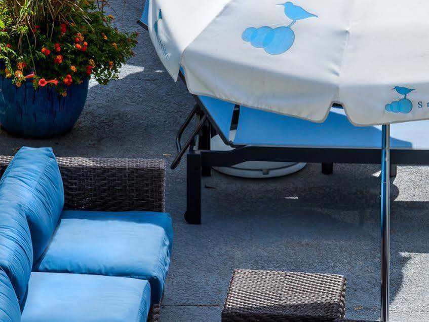 Sandpiper Beach Club Cape May Exterior foto